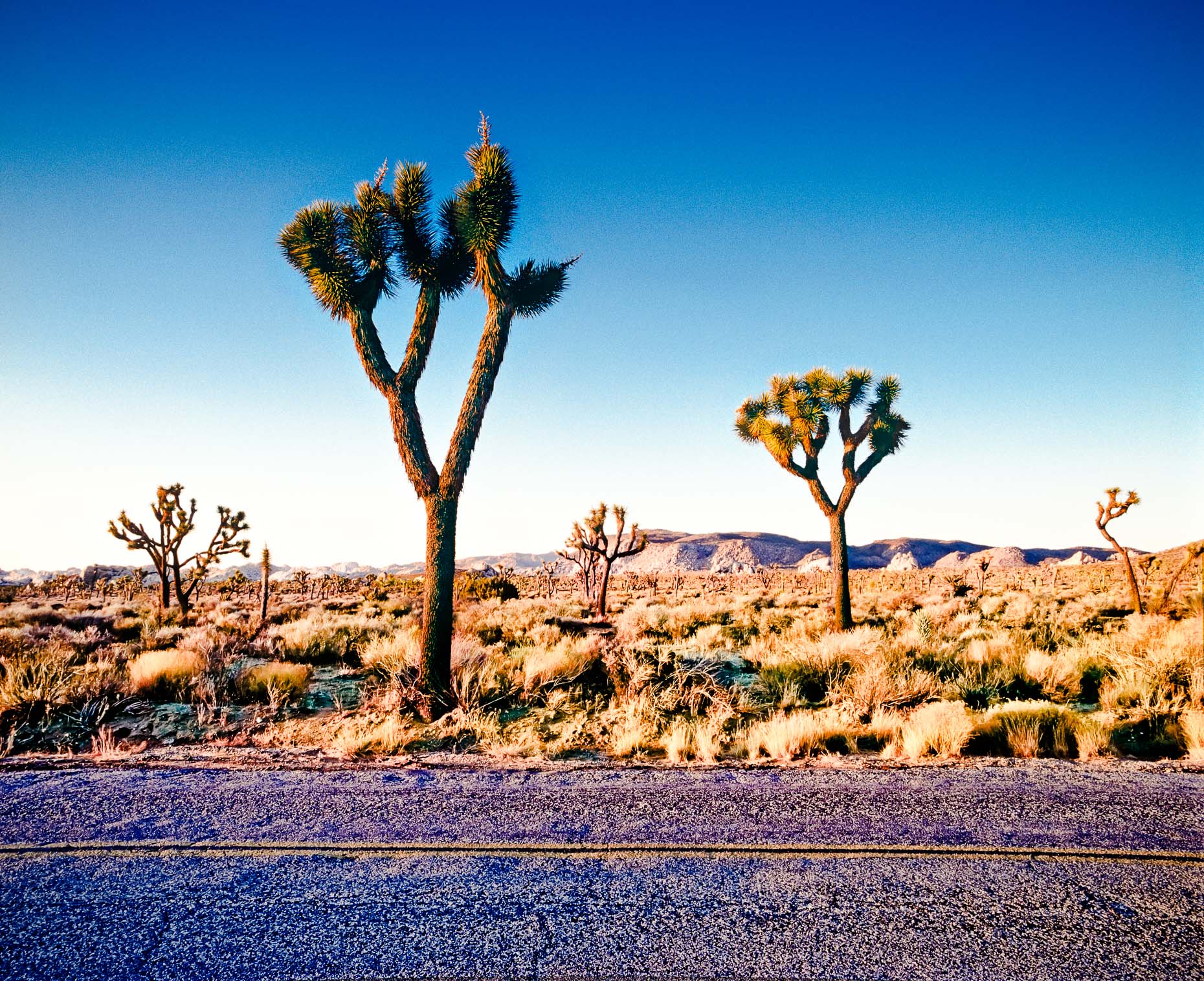 travel-35.jpg